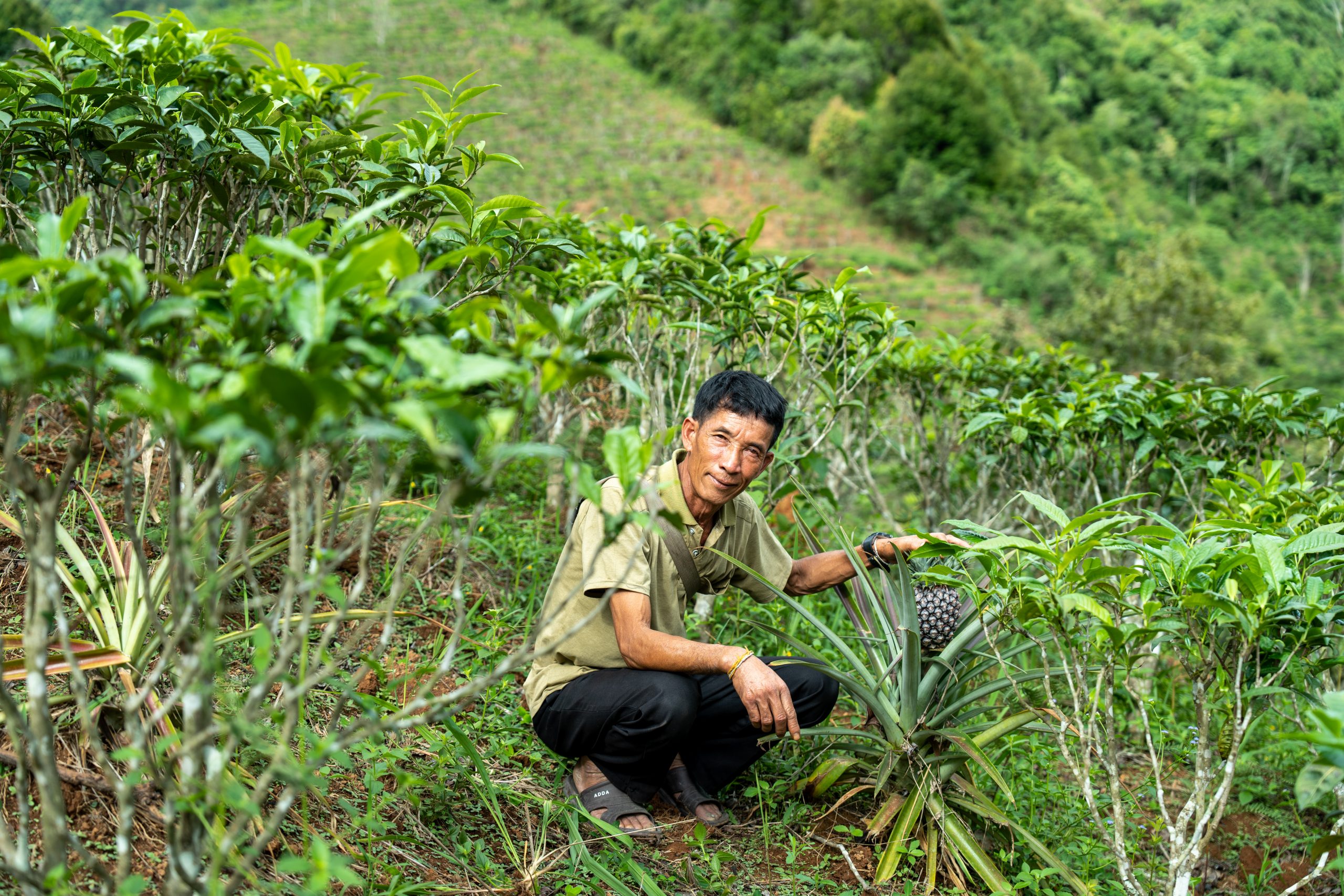 LFA published 12 videos on local practices on agroecology